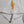 Load image into Gallery viewer, &quot;First Language&quot; T-shirt
